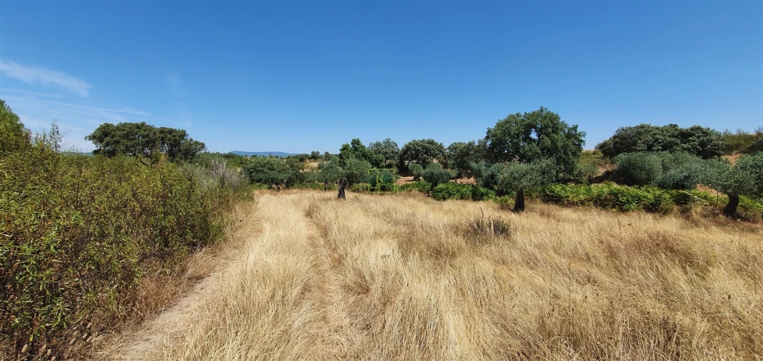 Terreno Agricola ou Rústico para Venda em Aranhas Foto 27