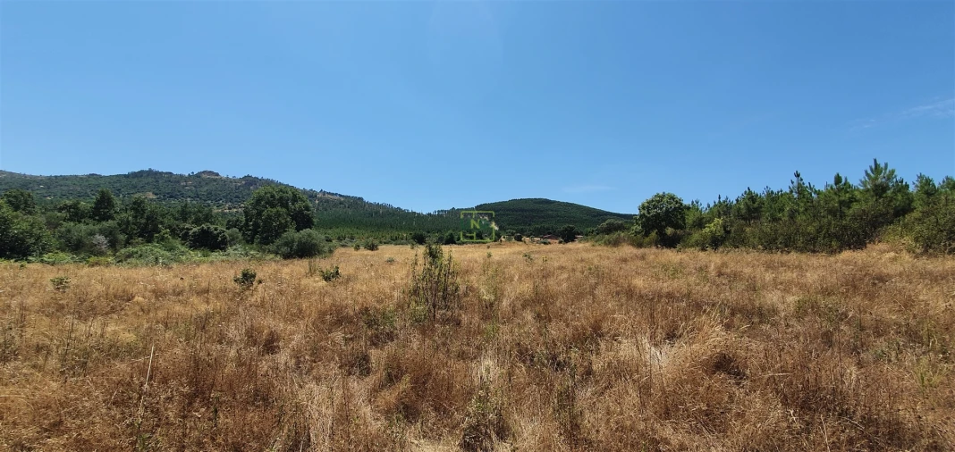 Terreno Agricola ou Rústico para Venda em Aranhas Foto 29