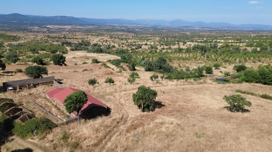 Terreno Agricola ou Rústico para Venda em Aranhas Foto 32