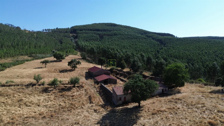 Terreno Agricola ou Rústico para Venda em Aranhas Foto 1