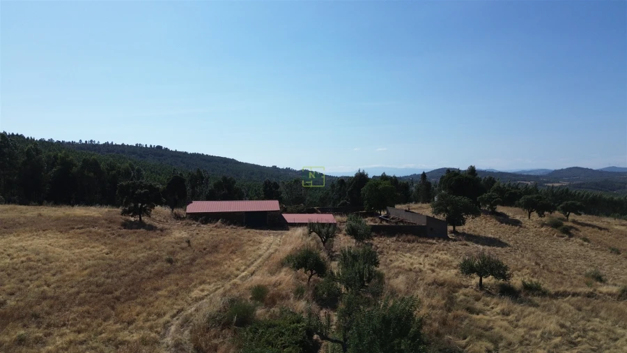 Terreno Agricola ou Rústico para Venda em Aranhas Foto 31