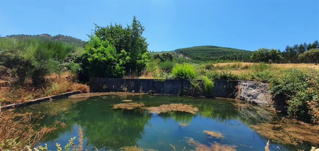 Terreno Agricola ou Rústico para Venda em Aranhas Foto 14