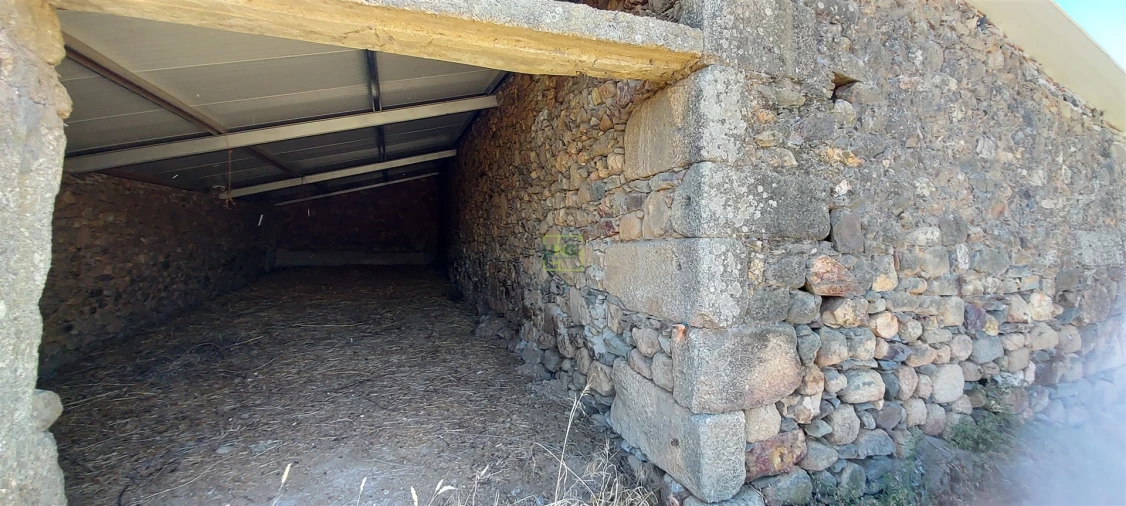 Terreno Agricola ou Rústico para Venda em Aranhas Foto 7