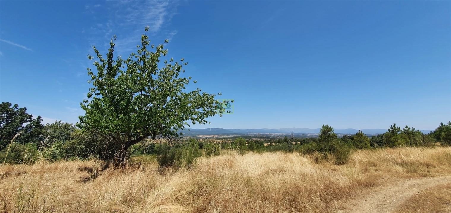 Terreno Agricola ou Rústico para Venda em Aranhas Foto 30