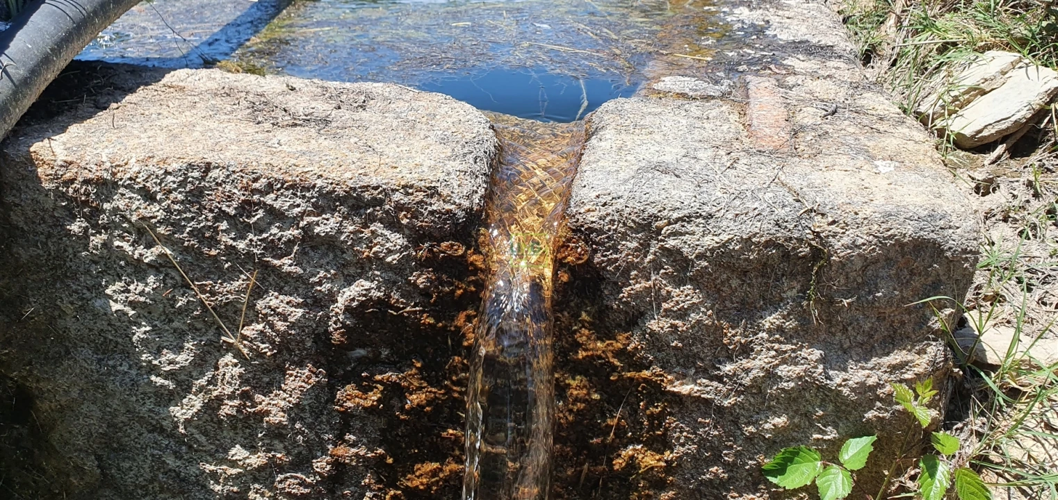 Terreno Agricola ou Rústico para Venda em Aranhas Foto 15