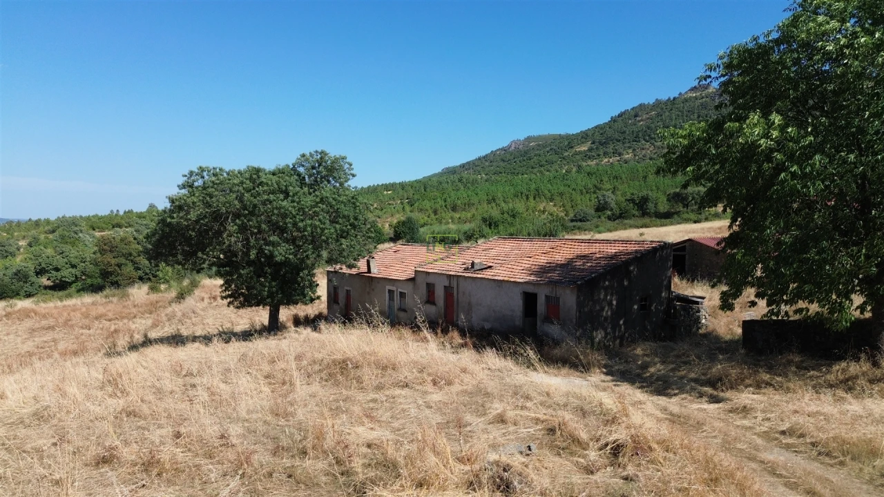 Terreno Agricola ou Rústico para Venda em Aranhas Foto 12