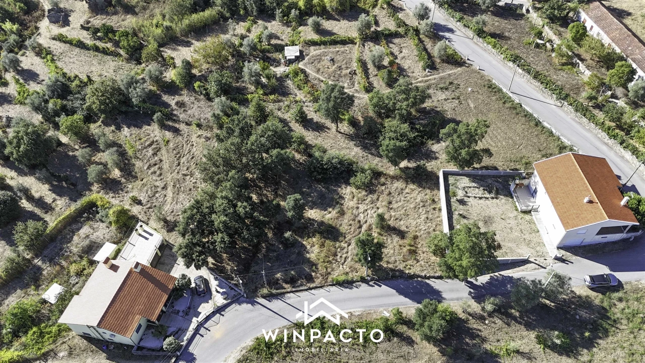 Terreno Agricola ou Rústico para Venda em Nelas Foto 3
