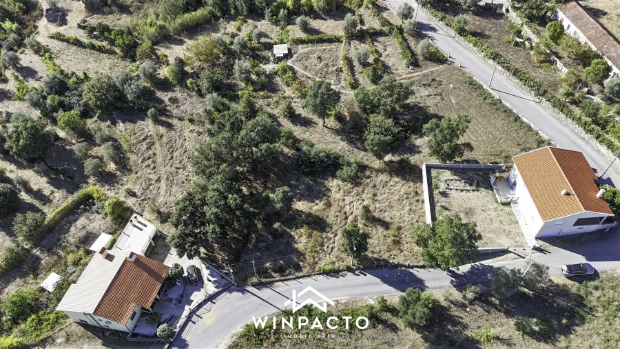 Terreno Agricola ou Rústico para Venda em Nelas Foto 3