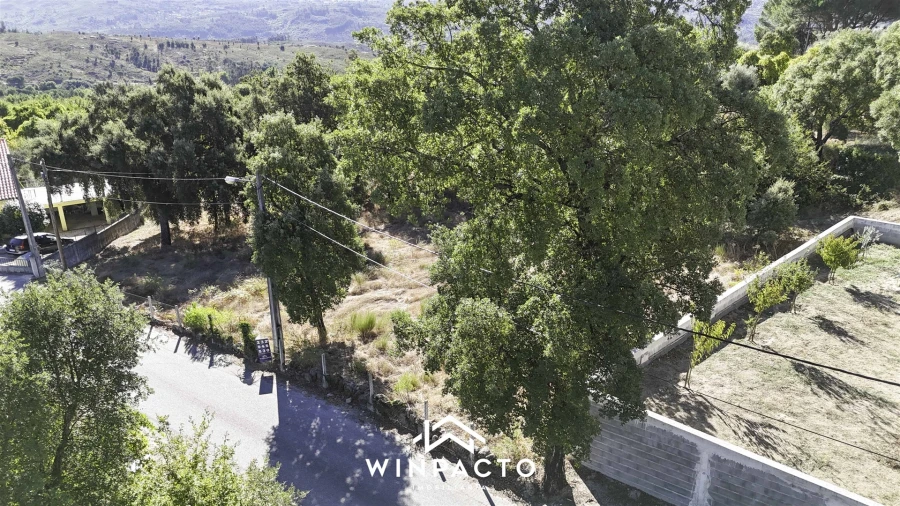 Terreno Agricola ou Rústico para Venda em Nelas Foto 7