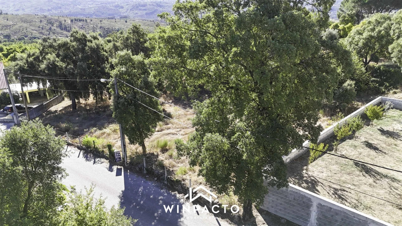 Terreno Agricola ou Rústico para Venda em Nelas Foto 7