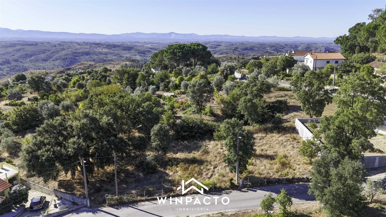Terreno Agricola ou Rústico para Venda em Nelas Foto 4