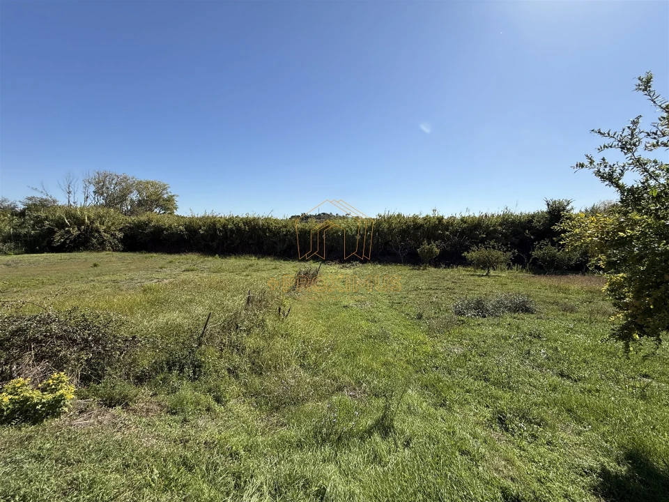 Terreno para Venda em Buarcos Foto 8