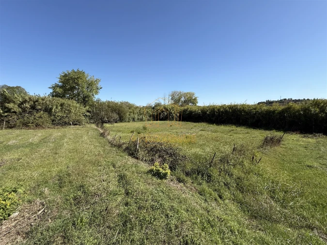 Terreno para Venda em Buarcos Foto 7