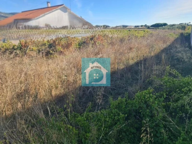Terreno para Venda em Aljubarrota Foto 4