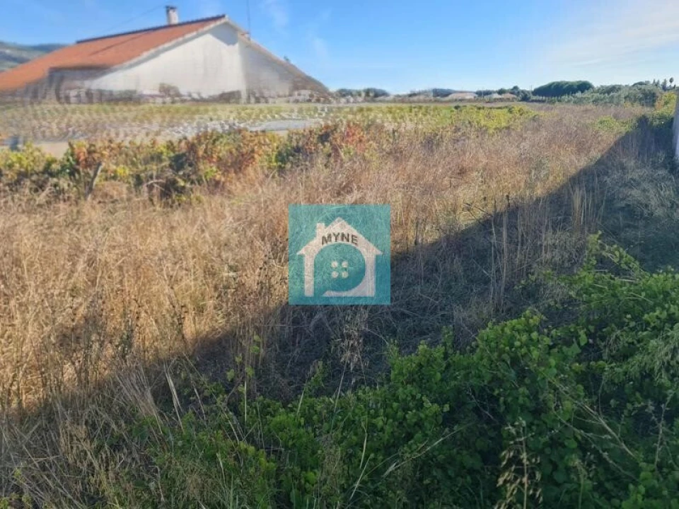 Terreno para Venda em Aljubarrota Foto 4