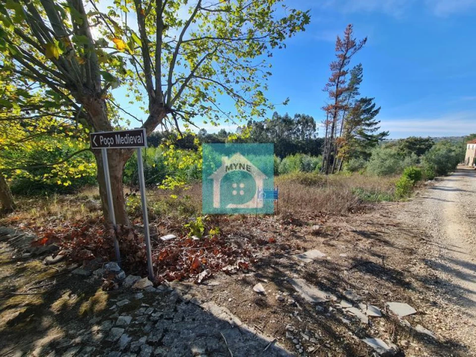Terreno para Venda em Aljubarrota Foto 3