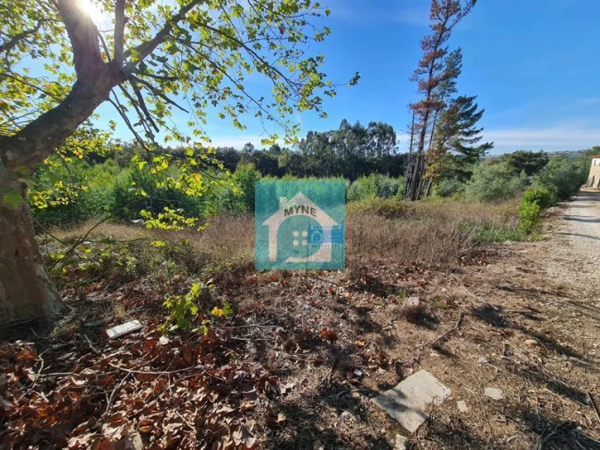 Terreno para Venda em Aljubarrota Foto 2