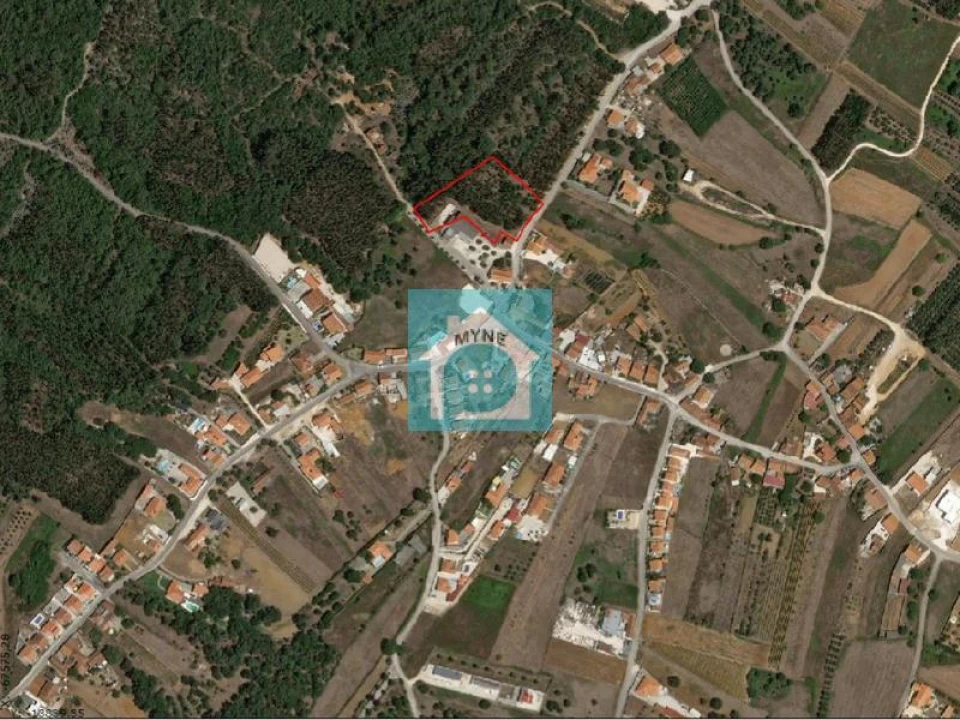 Terreno para Venda em Aljubarrota Foto 7