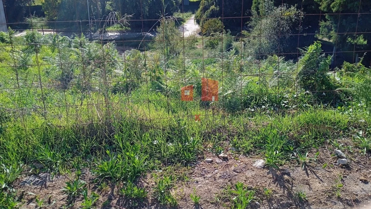 Terreno para Venda em Lama Foto 2