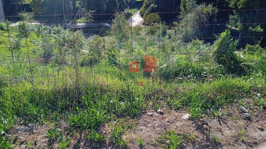 Terreno para Venda em Lama Foto 2