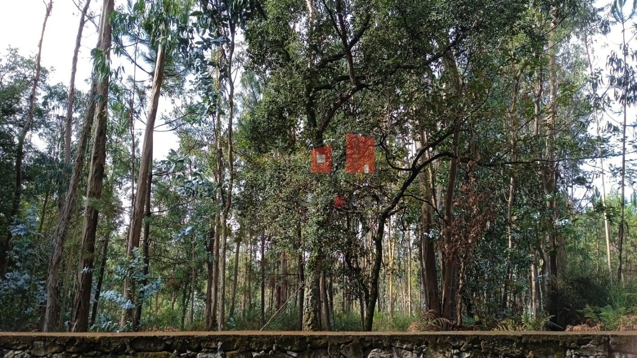Terreno para Venda em Remelhe Foto 2