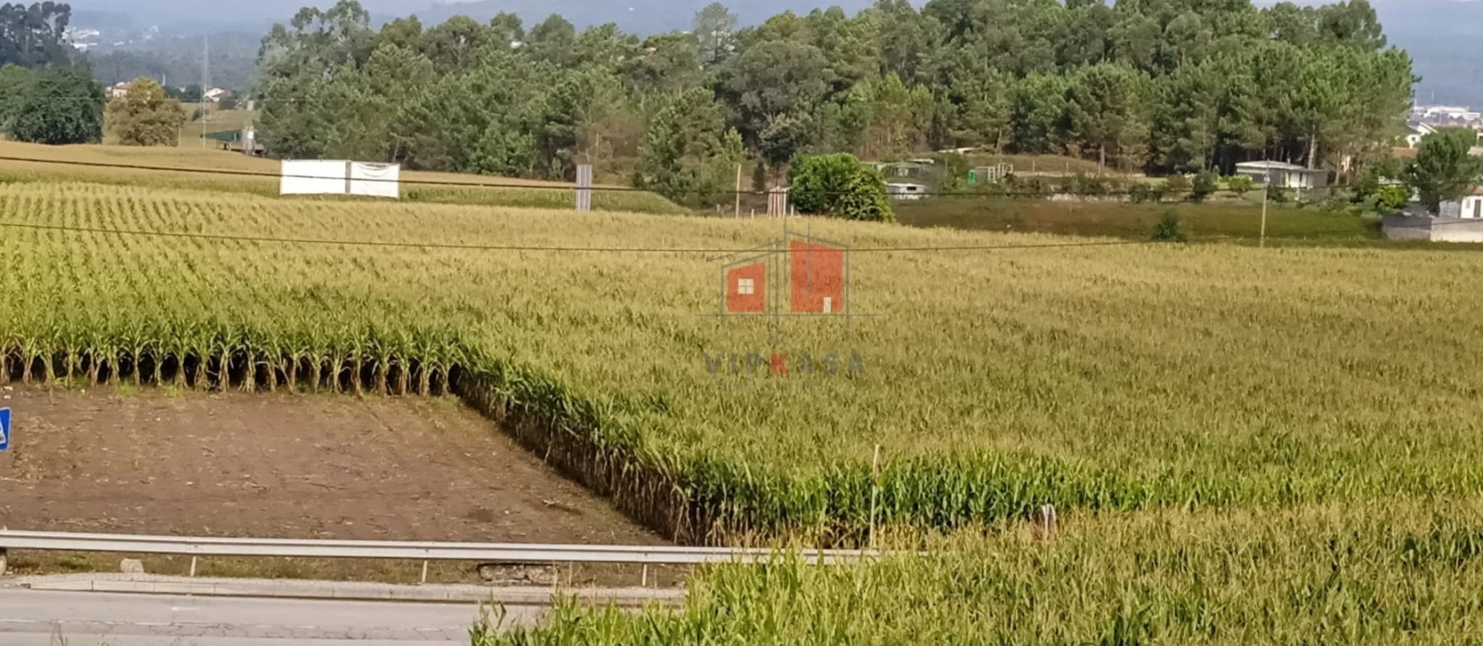 Terreno para Venda em Alvelos Foto 2