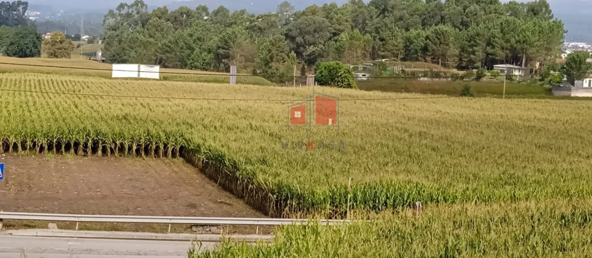 Terreno para Venda em Alvelos Foto 2