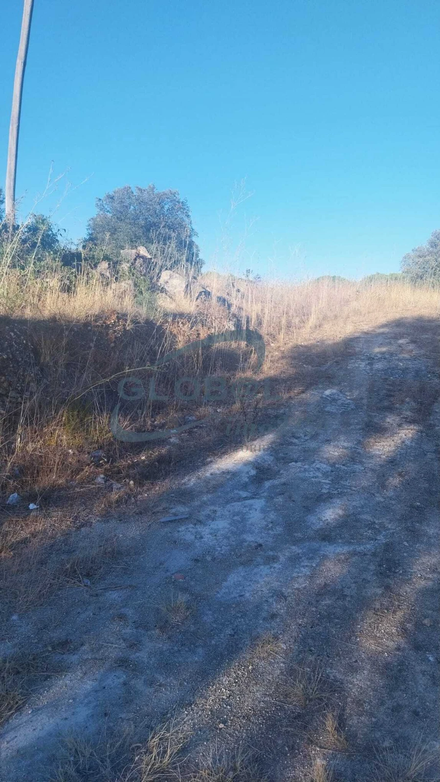 Terreno para Venda em Assentiz Foto 8