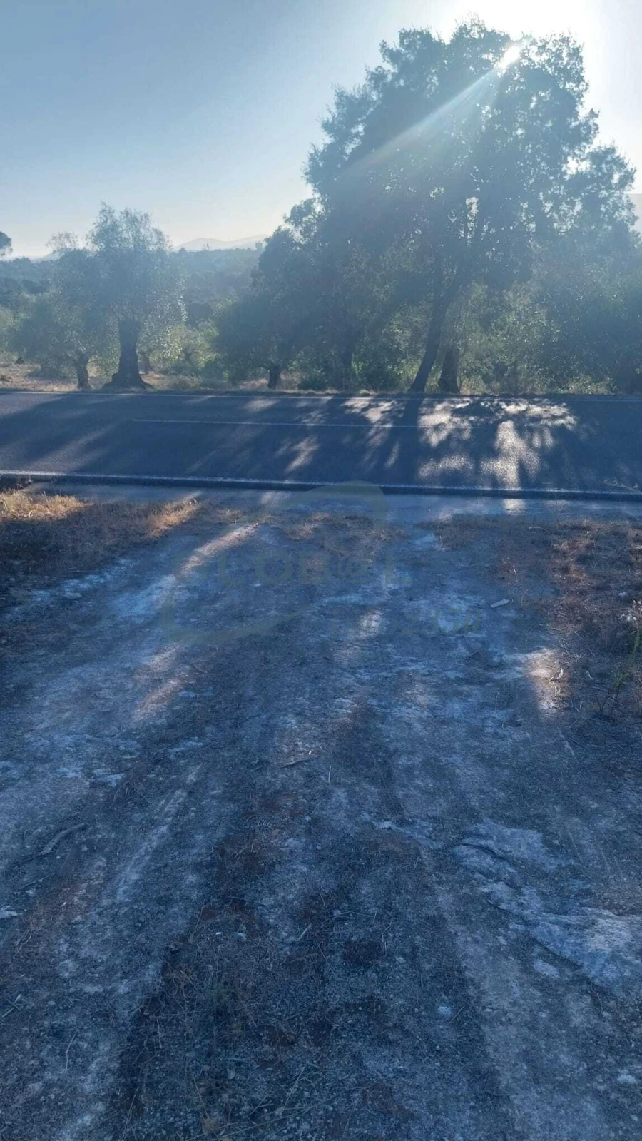 Terreno para Venda em Assentiz Foto 7