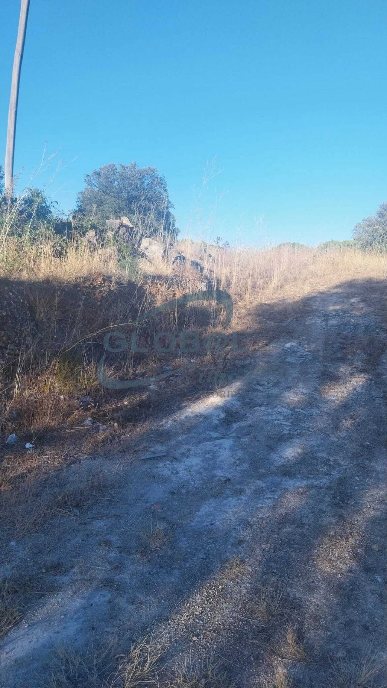Terreno para Venda em Assentiz Foto 8