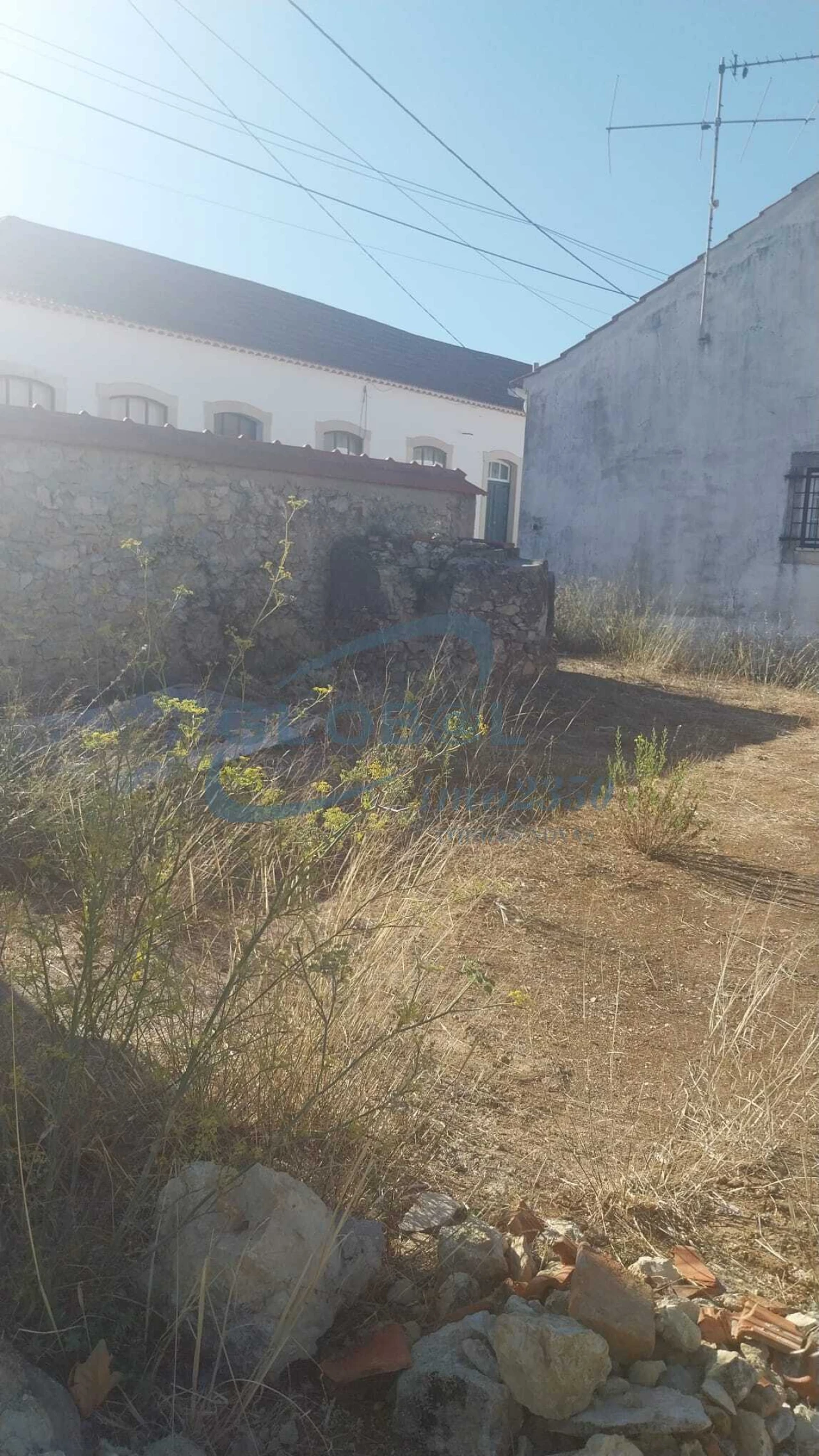 Terreno para Venda em Assentiz Foto 3