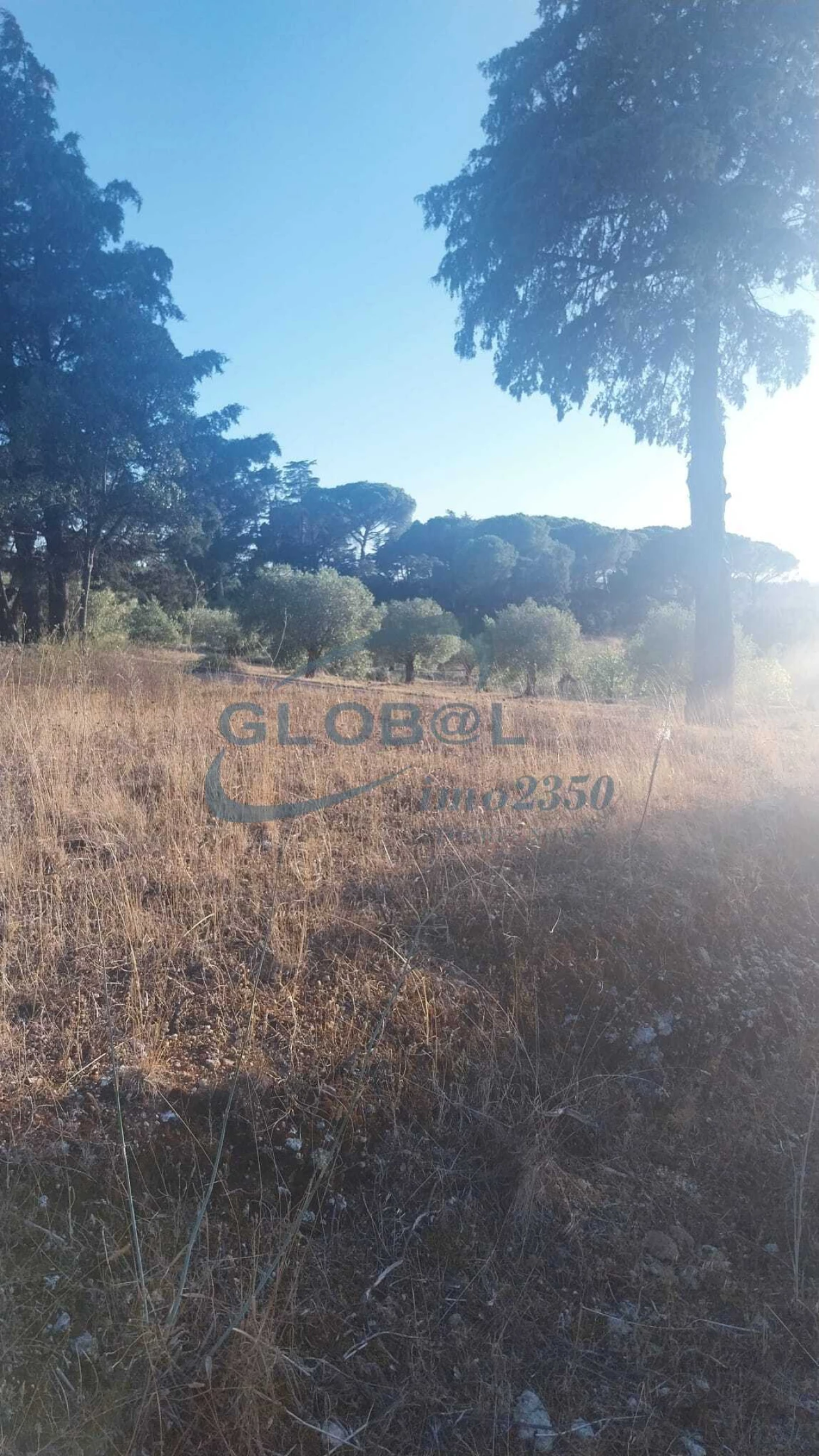 Terreno para Venda em Assentiz Foto 5