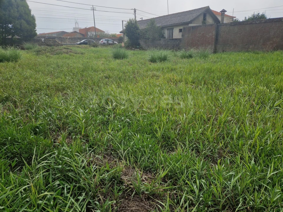 Terreno para Venda em Esmoriz Foto 4