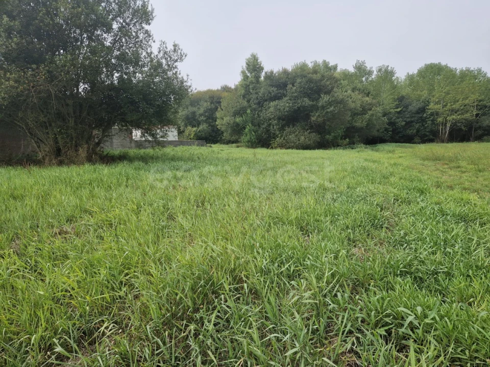 Terreno para Venda em Esmoriz Foto 5