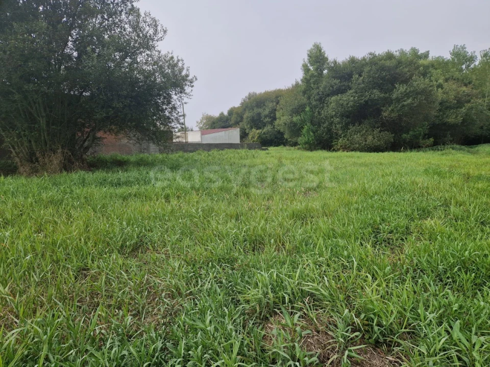 Terreno para Venda em Esmoriz Foto 7