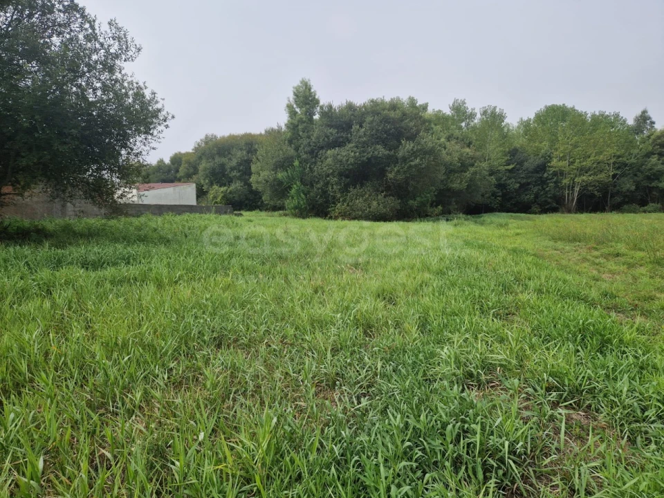 Terreno para Venda em Esmoriz Foto 9