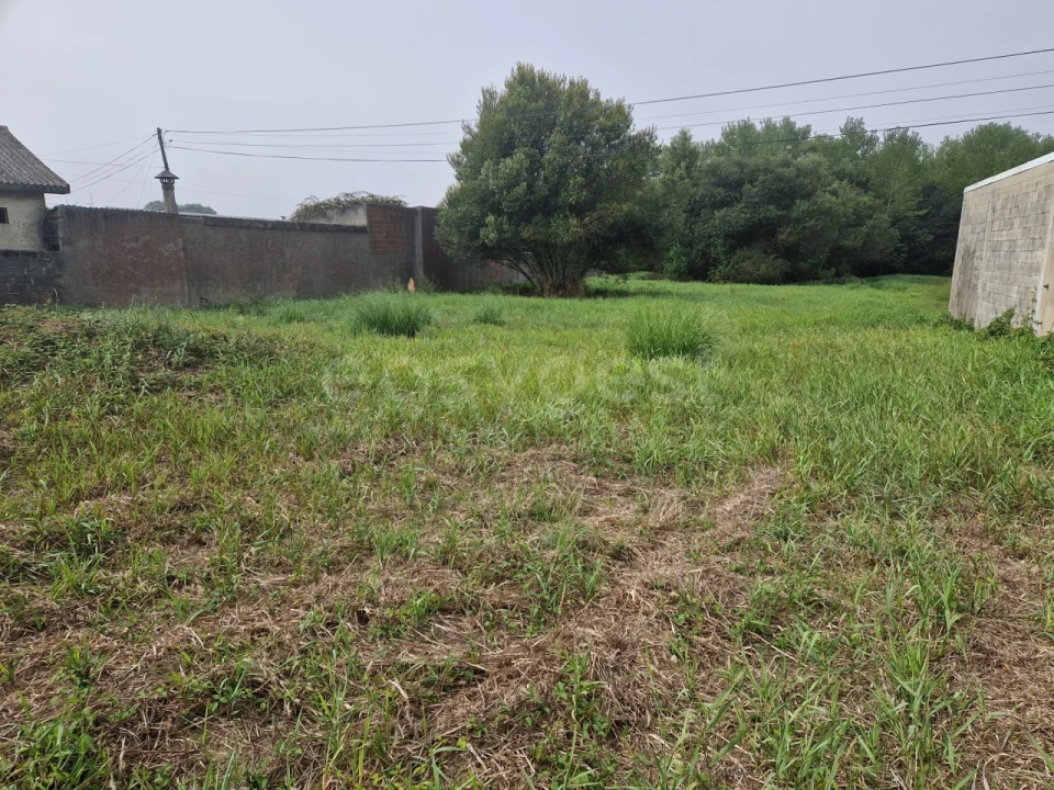 Terreno para Venda em Esmoriz Foto 10