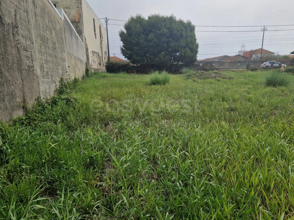 Terreno para Venda em Esmoriz Foto 14