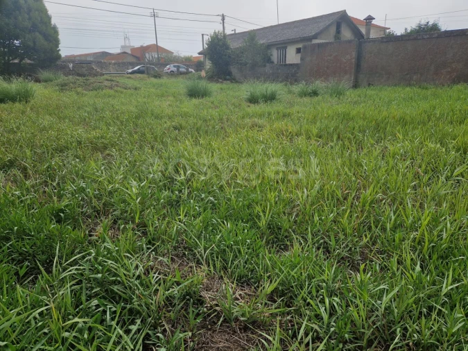 Terreno para Venda em Esmoriz Foto 4