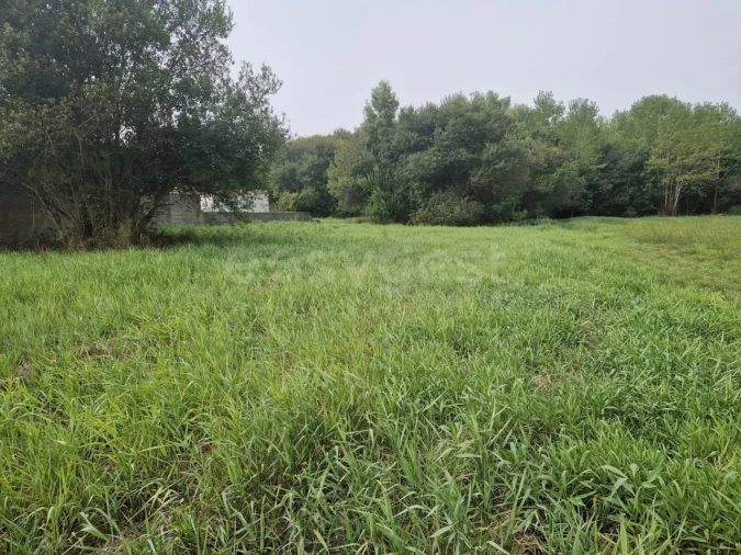 Terreno para Venda em Esmoriz Foto 5