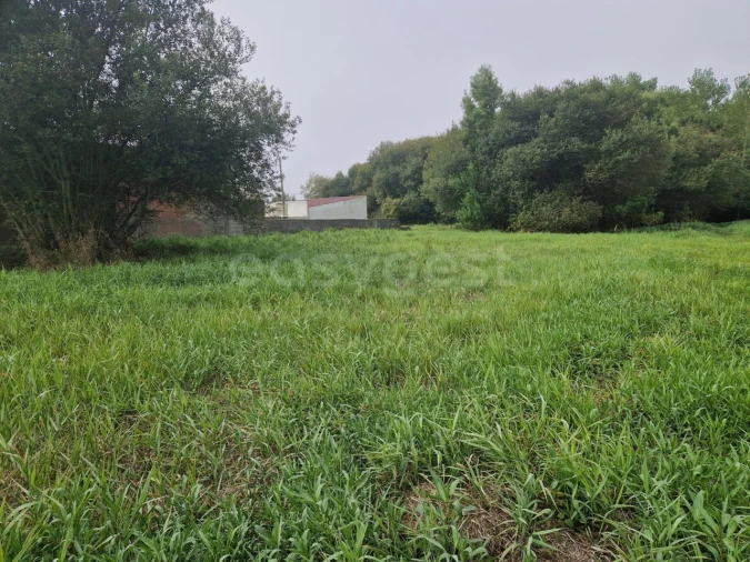 Terreno para Venda em Esmoriz Foto 7