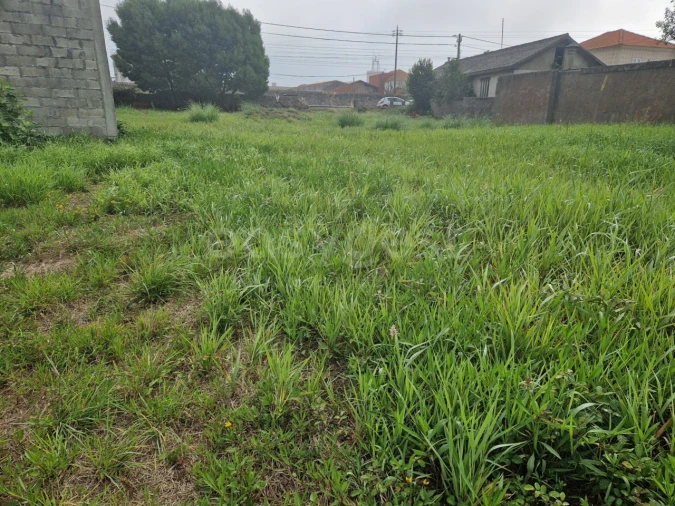 Terreno para Venda em Esmoriz Foto 8