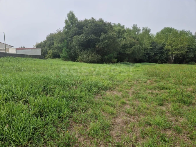 Terreno para Venda em Esmoriz Foto 11