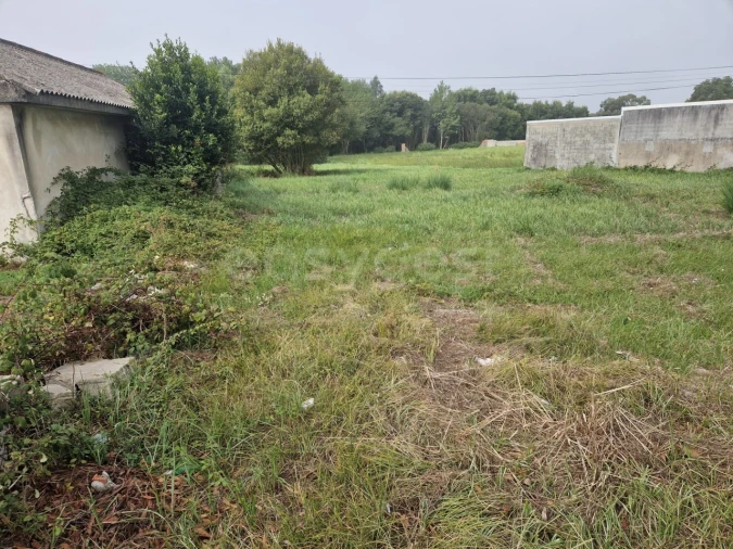 Terreno para Venda em Esmoriz Foto 12