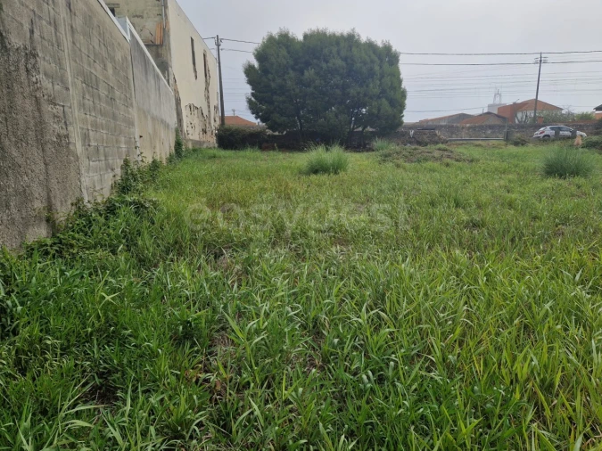 Terreno para Venda em Esmoriz Foto 14