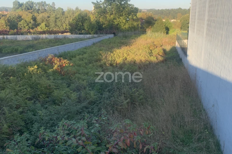 Terreno para Venda em Areias, Sequeirô, Lama e Palmeira Foto 5