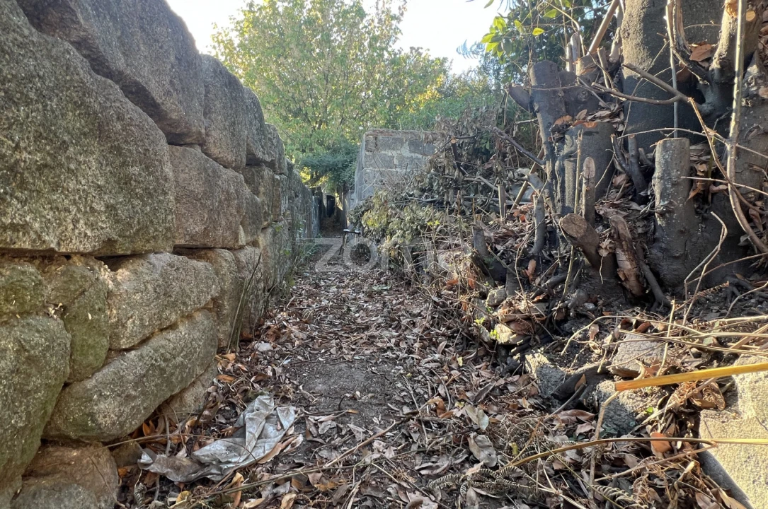 Prédio para Venda em Cedofeita, Santo Ildefonso, Sé, Miragaia, São Nicolau e Vitória Foto 30