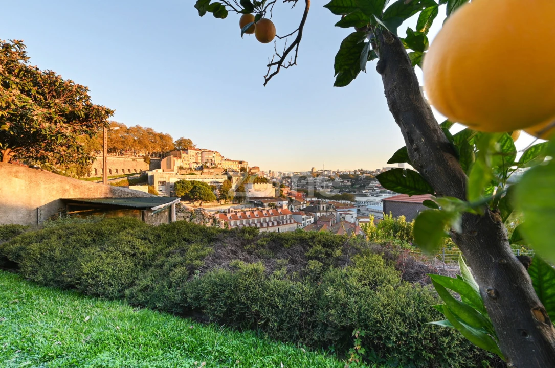 Apartamento T1 para Venda em Cedofeita, Santo Ildefonso, Sé, Miragaia, São Nicolau e Vitória Foto 18