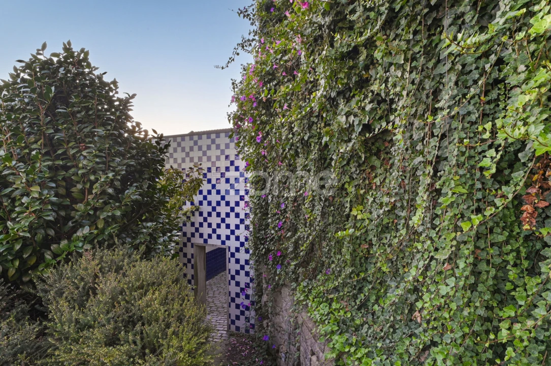Apartamento T1 para Venda em Cedofeita, Santo Ildefonso, Sé, Miragaia, São Nicolau e Vitória Foto 19
