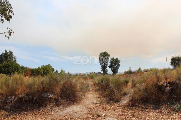 Terreno para Venda em Paranhos Foto 4